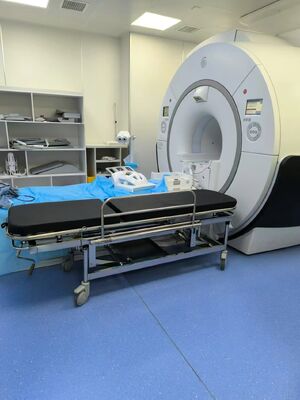 4 Ergonomische Griffe Nichtmagnetische Tragehalle Höhe verstellbar 22 bis 32 Zoll perfekt für die MRT-Raum Patienten Handling Bedürfnisse