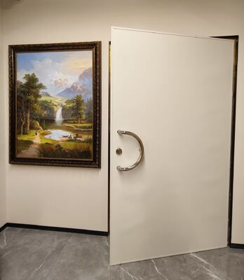 Custom Size RF Shielding Door For Secure Communication Rooms